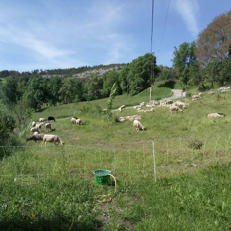 Les Logis De Lucie Apartamento Selonnet Exterior foto