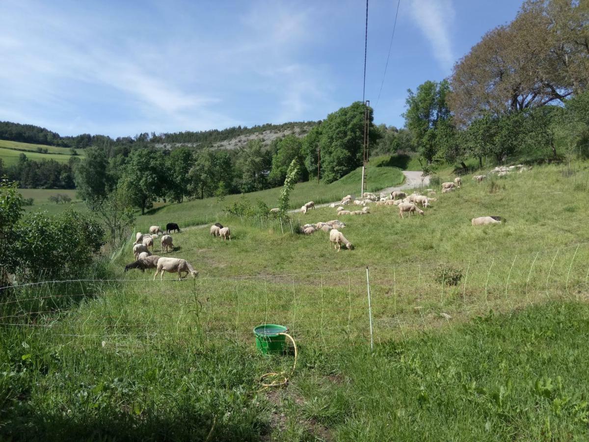 Les Logis De Lucie Apartamento Selonnet Exterior foto